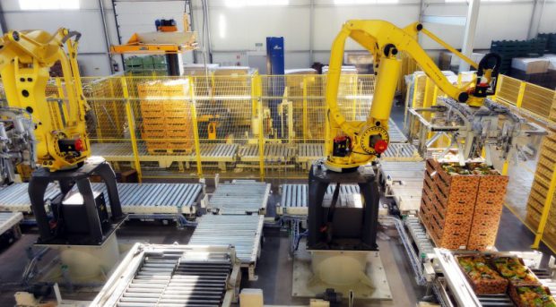 Palletizing cartons by robotic arms